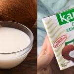 Santan Segar VS Santan Kotak, Ini Panduan Memasak Ikut Jenis Lauk, Jangan Salah Guna!