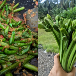 Resipi Sayur Paku Rawan Tumis, Ramai Suka Sebab Teksturnya Meletup Bila Gigit!