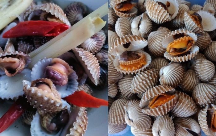 tips masak kerang