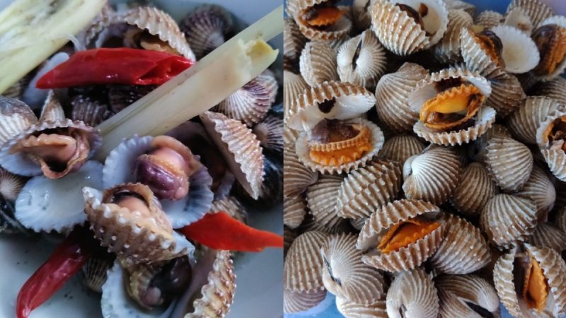Tips Masak Kerang Turun-Temurun Dari Ibu, Isi Bersih & Terbuka Cantik!