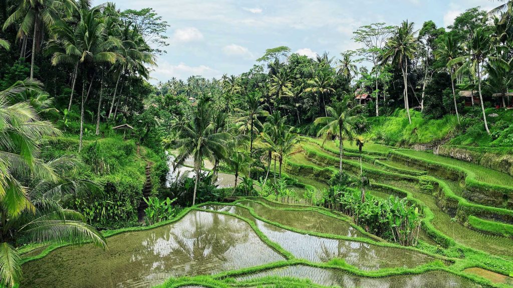 travel halal untuk Muslim