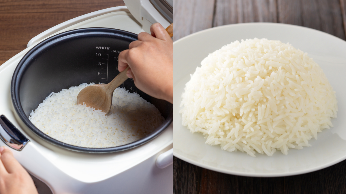 nasi basi