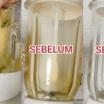 Cara Hilangkan Kesan Kunyit Pada Blender Sepantas 5 Minit, Tak Perlu Sental Banyak Kali!