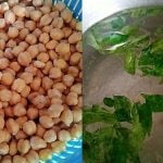 Cara Merebus Kacang Kuda Guna Periuk Nasi, Tak Sampai Sejam Sudah Empuk!
