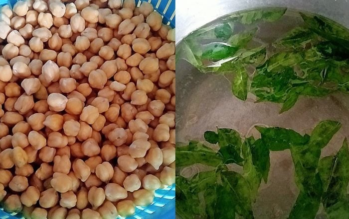 cara merebus kacang kuda