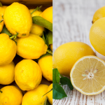 Rahsia Simpan Buah Lemon Agar Tahan Lama, 3 Bulan Pun Kekal Segar Macam Baru Beli!