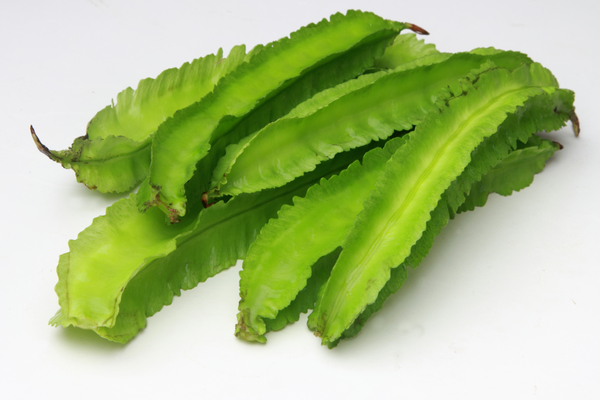 kacang botol