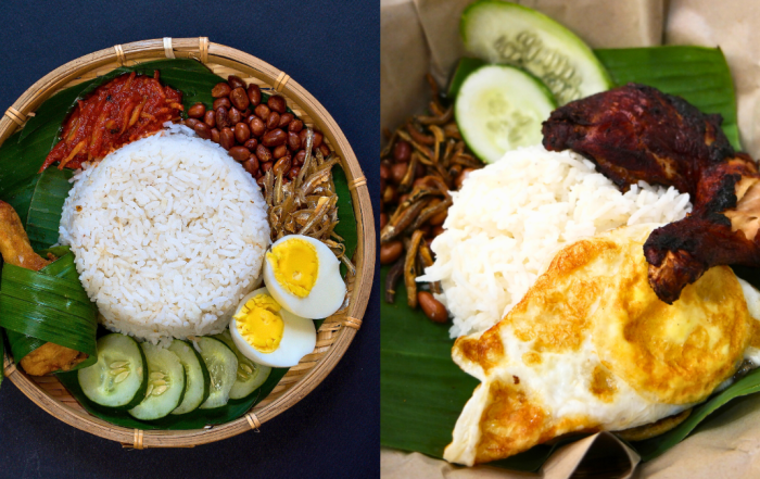 jenis jenis nasi lemak