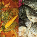 Petua Memasak Ikan Darat Supaya Sedap Dimakan, Bau Hanyir Hilang Sekelip Mata!