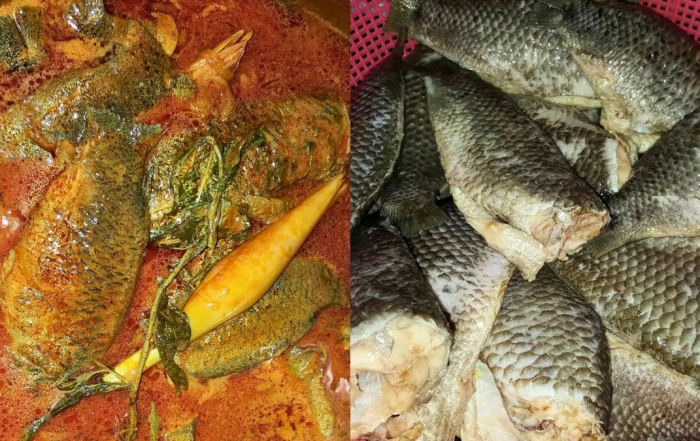 ikan darat