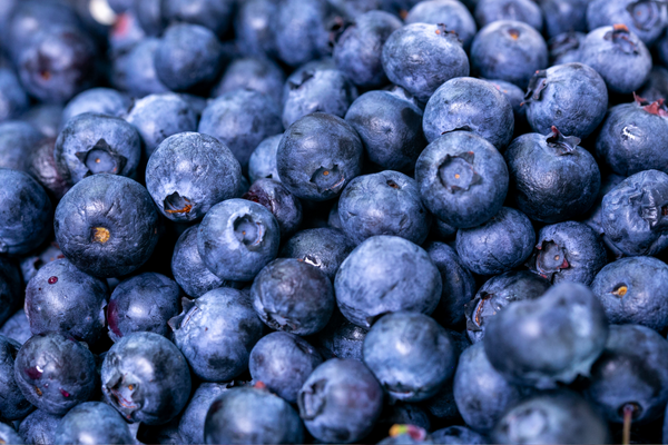 buah blueberry