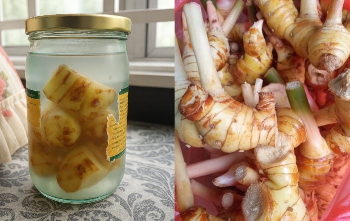 cara menyimpan lengkuas