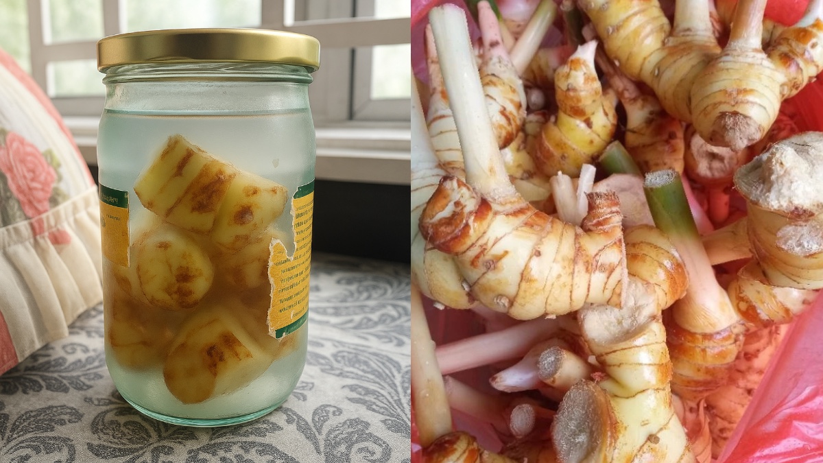 cara menyimpan lengkuas