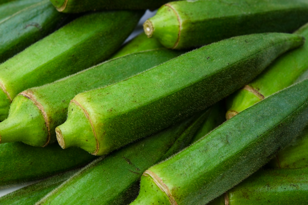 sayur bendi