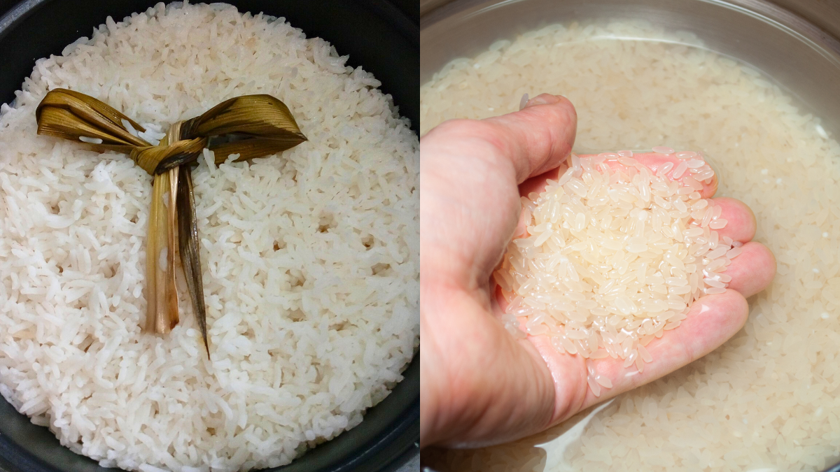 cara tanak nasi