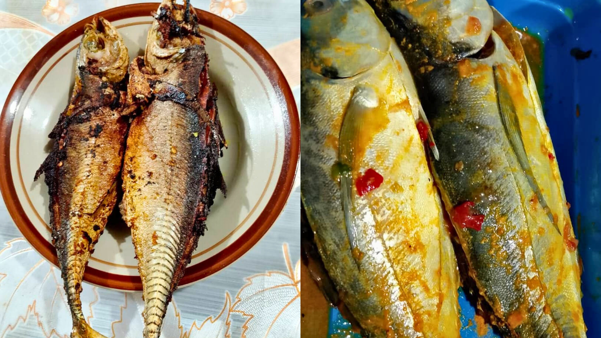 ikan cencaru sumbat lada
