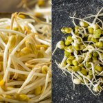 Ini Beza Tauge Dari Kacang Hijau Dan Kacang Soya, Mana Satu Yang Lagi Sedap & Rangup?