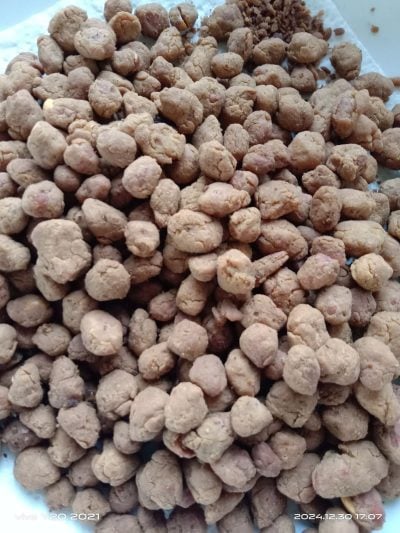 kacang botol rangup