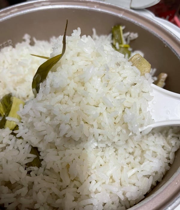 nasi lemak rendang