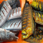 Petua Cuci Ikan Keli Supaya Hilang Hanyir & Lendir, Baru Berani Goreng Sebab Tak Meletup!