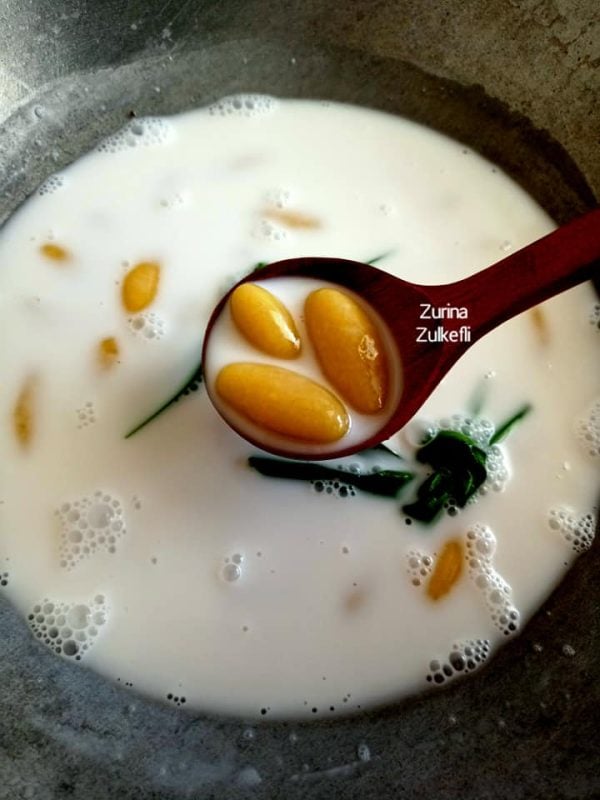 butir nangka