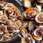 Tips Rebus Kerang Sepantas 3 Minit, Isi Tak Mengecut, Kekal Pejal & Manis!