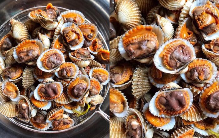 tips merebus kerang