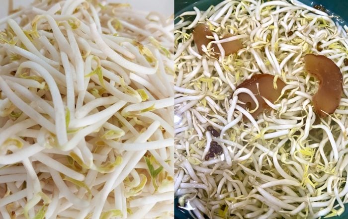 tips tauge tahan lama