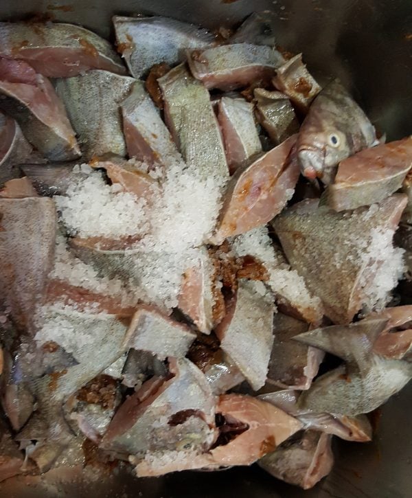 ikan bawal hitam