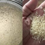 Cara Hilangkan Kutu Beras Paling Cepat, Tak Sampai 5 Minit Habis Satu Keturunan!