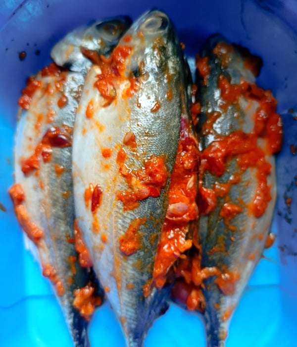 ikan cencaru goreng