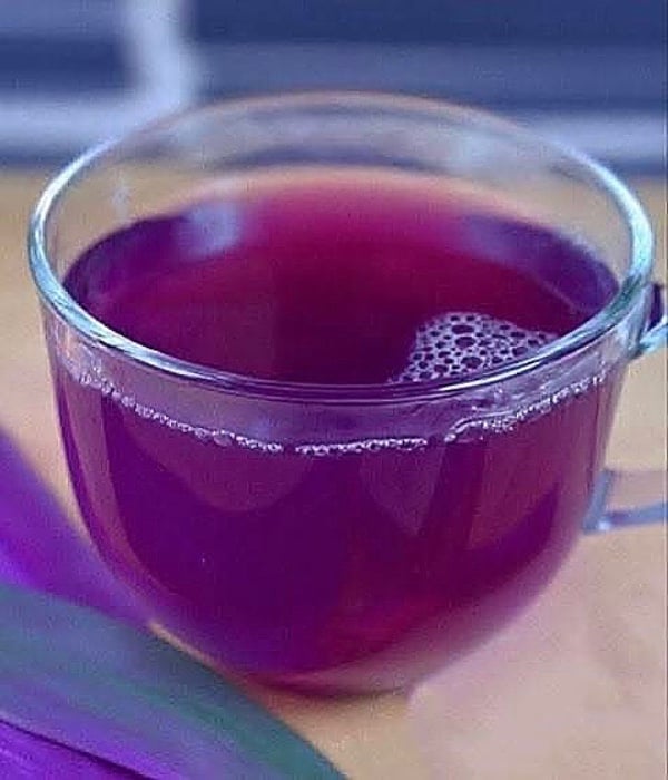 khasiat daun adam hawa