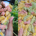 Resipi Kuih Buah Rotan Rangup Dan Wangi, Kudapan Legend Yang Kena Cuba Buat Di Rumah!