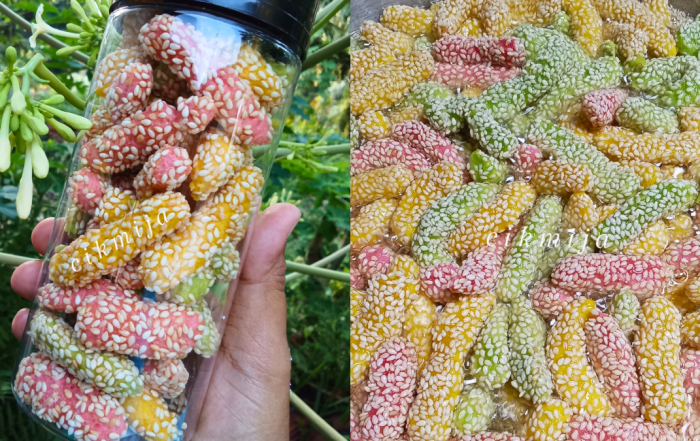 buah rotan