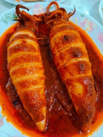 sotong sumbat percik