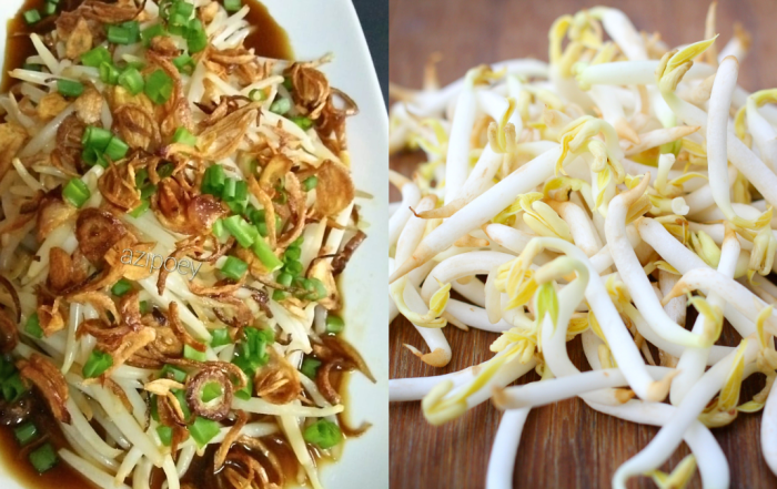 resepi taugeh