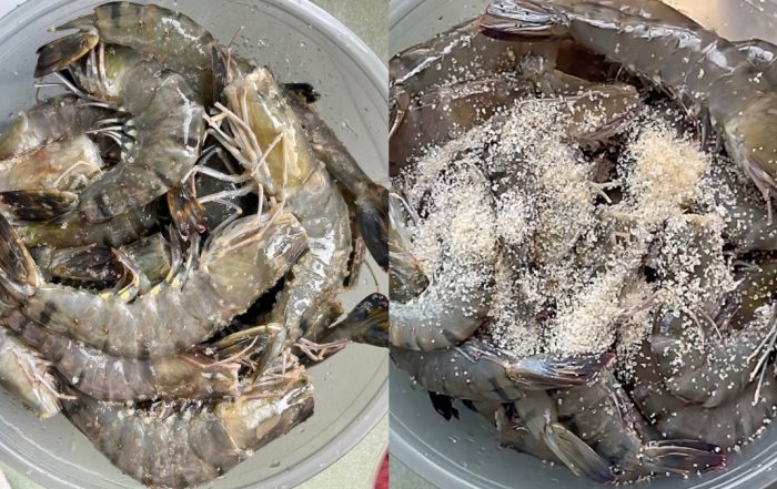 simpan udang tahan lama