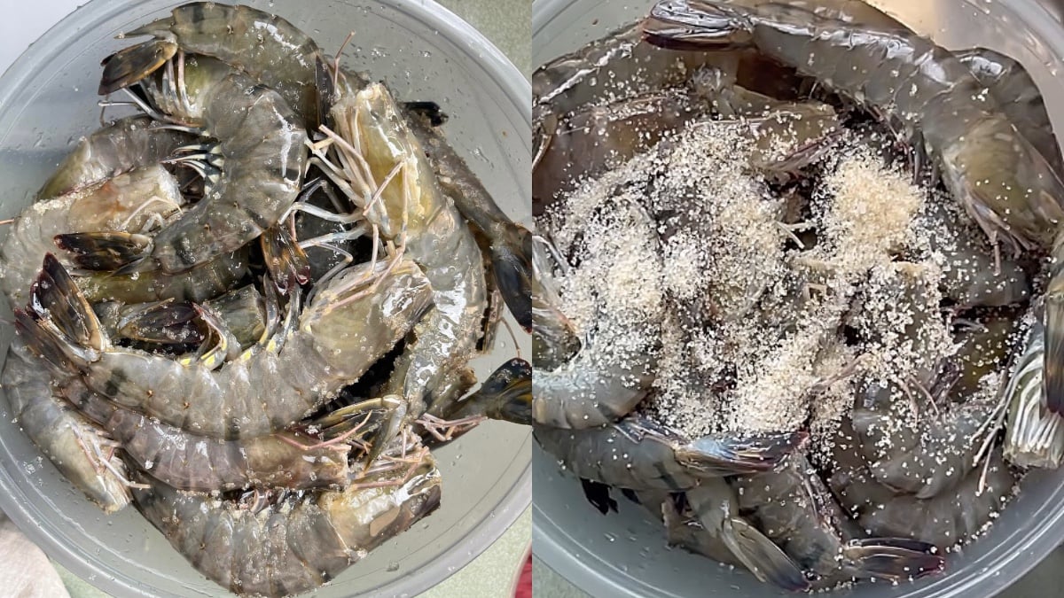 simpan udang tahan lama