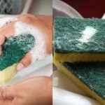 Ini Sebab Kena Tukar Span Basuh Pinggan Setiap 3 Minggu, Ada Kuman Boleh Buat Cirit-Birit!