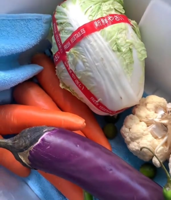 tips sayur kekal segar