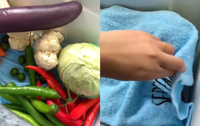 tips sayur kekal segar