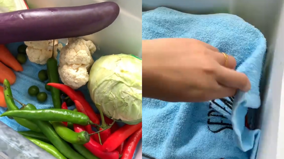 tips sayur kekal segar