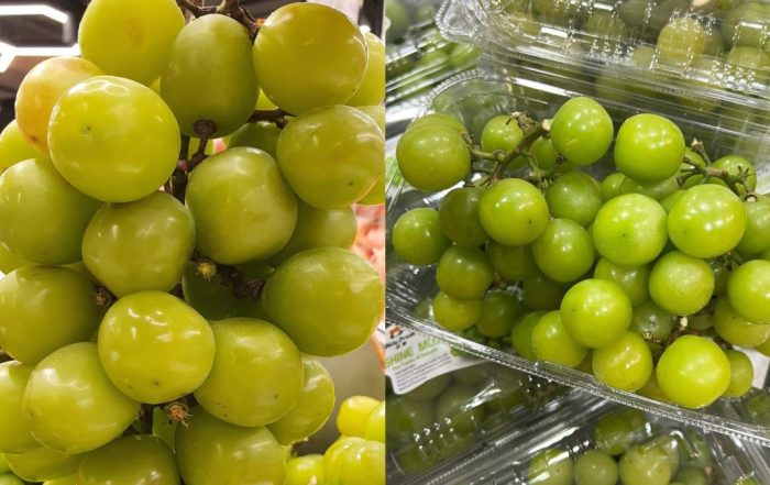 anggur shine muscat