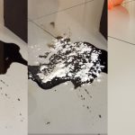 Cara Mudah Bersihkan Tumpahan Minyak, Kicap Dan Sos Di Lantai, Hanya Guna Tepung!