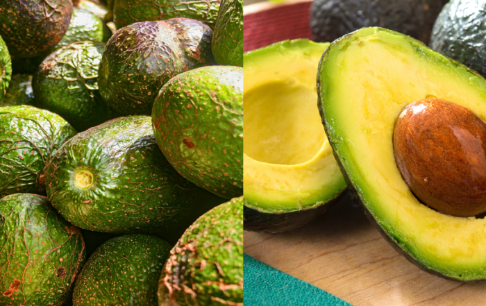 cara peram buah avokado
