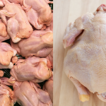 Tip Pilih Ayam Dengan Tengok Bahagian ‘Tongkeng’, Boleh Tahu Segar Atau Tidak
