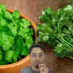 Daun Ketumbar Rupanya Anti-Anxiety, Pakar Terangkan Kenapa Ia Boleh Tenangkan Sel Otak