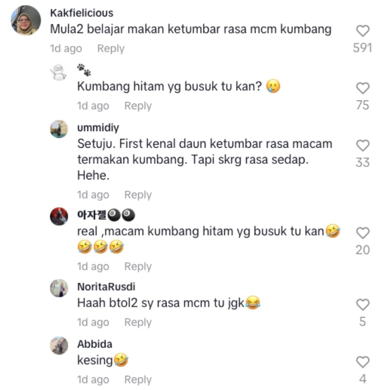 daun ketumbar