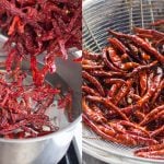 Cara Bersihkan Cili Kering Dengan Betul, Habuk Dan Debu Terus Lesap Serta-Merta!