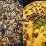 Petua Cuci Siput Sedut Hingga Bersih, Keluar Semua Lumpur & Tak Berlendir Lagi